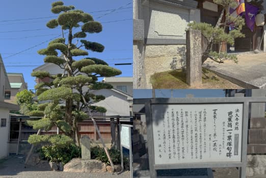 法久寺内一ッ葉塚句碑関連画像
